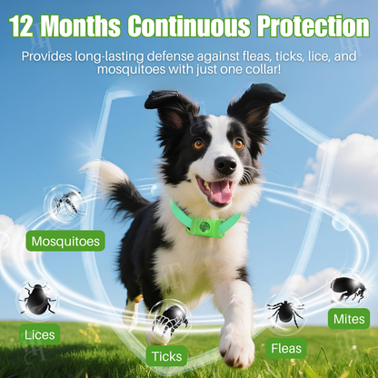 LAST 44 PCS LEFT!!! RZXEA™ Pet 12 Months Prevention Collar