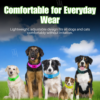 LAST 44 PCS LEFT!!! RZXEA™ Pet 12 Months Prevention Collar